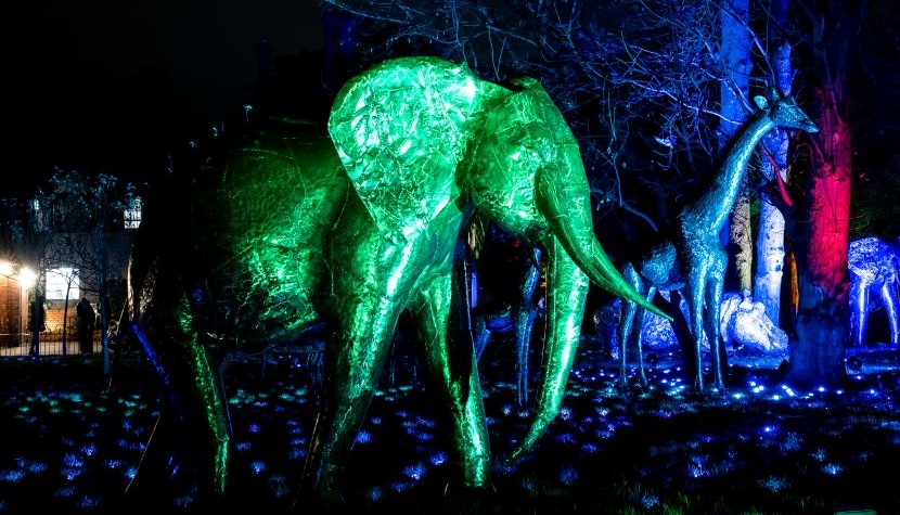 Glow Marwell Savannah Animals by Pangea Sculptures _Photo credit by Kat Gollock-155